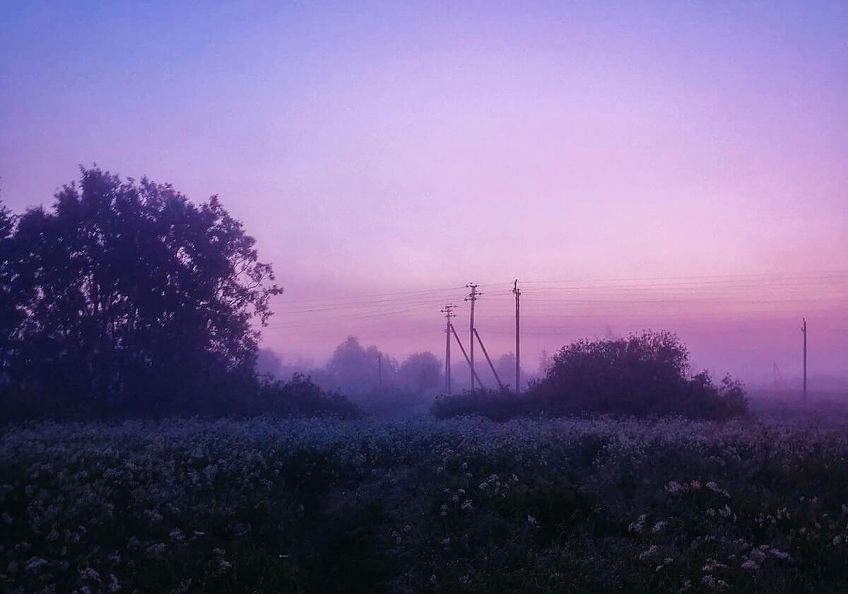 选号技巧-官方:原辽宁铁人后卫郑致云加盟石家庄功夫